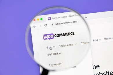 En hızlı WordPress site kurma hizmeti