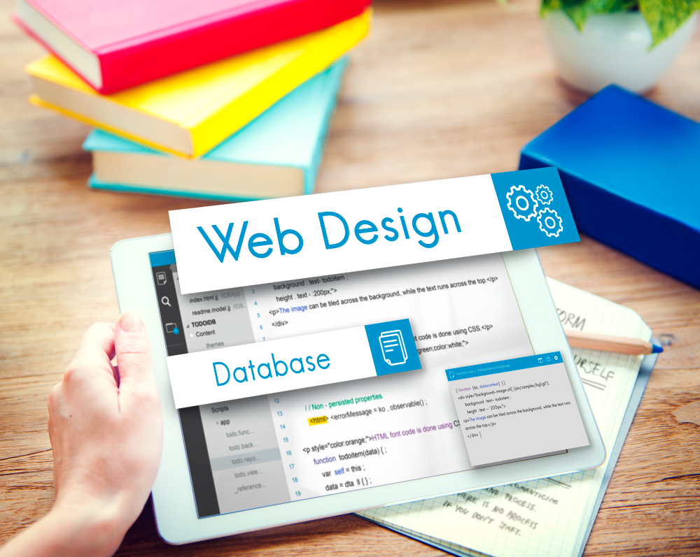 WordPress site kurulumu nasıl yapılır