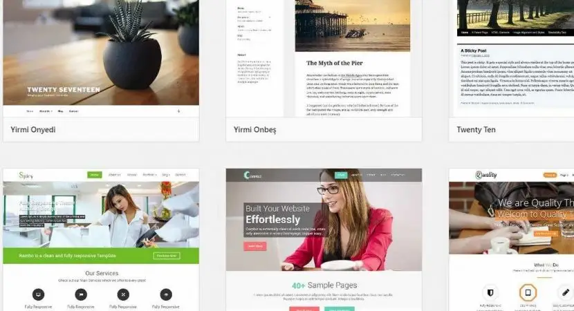 Kurumsal web sitesi için WordPress teması seçimi
